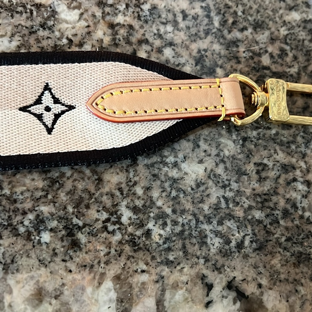 Louis Vuitton Bandouliere Speedy 20 Jacquard Shouder Strap - Picture 8 of 15